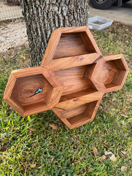 Mesquite Buckle Case