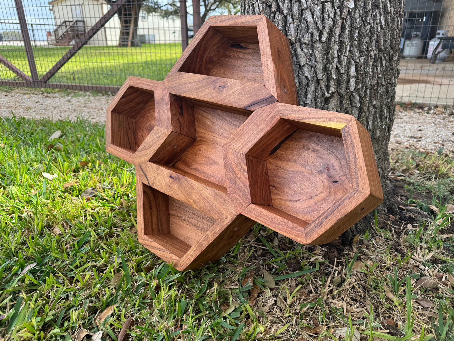 Mesquite Buckle Case