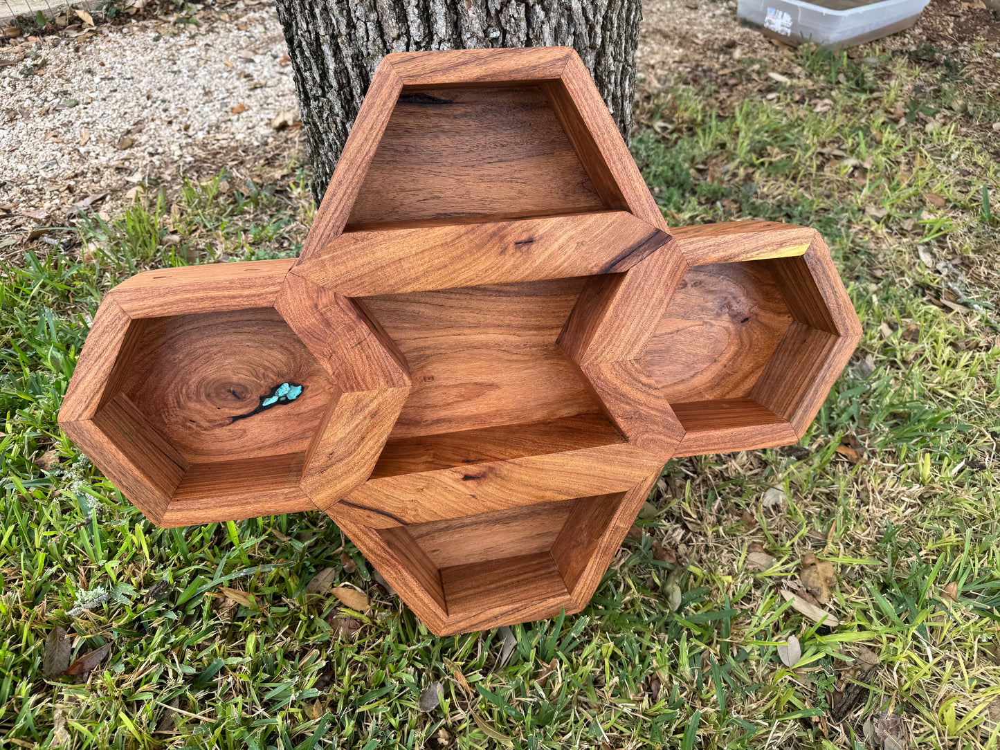 Mesquite Buckle Case